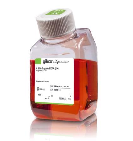 胰蛋白酶-EDTA (0.25%)，含酚红