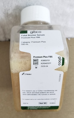Fetal Bovine Serum, Premium Plus，A5669701，胎牛血清