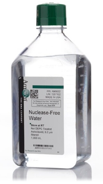 无核酸酶水（未经 DEPC 处理）
